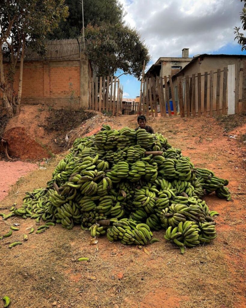 Madagascar Photography Gallery