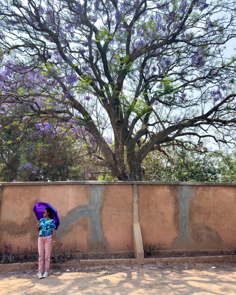Visual Stories From Madagascar
